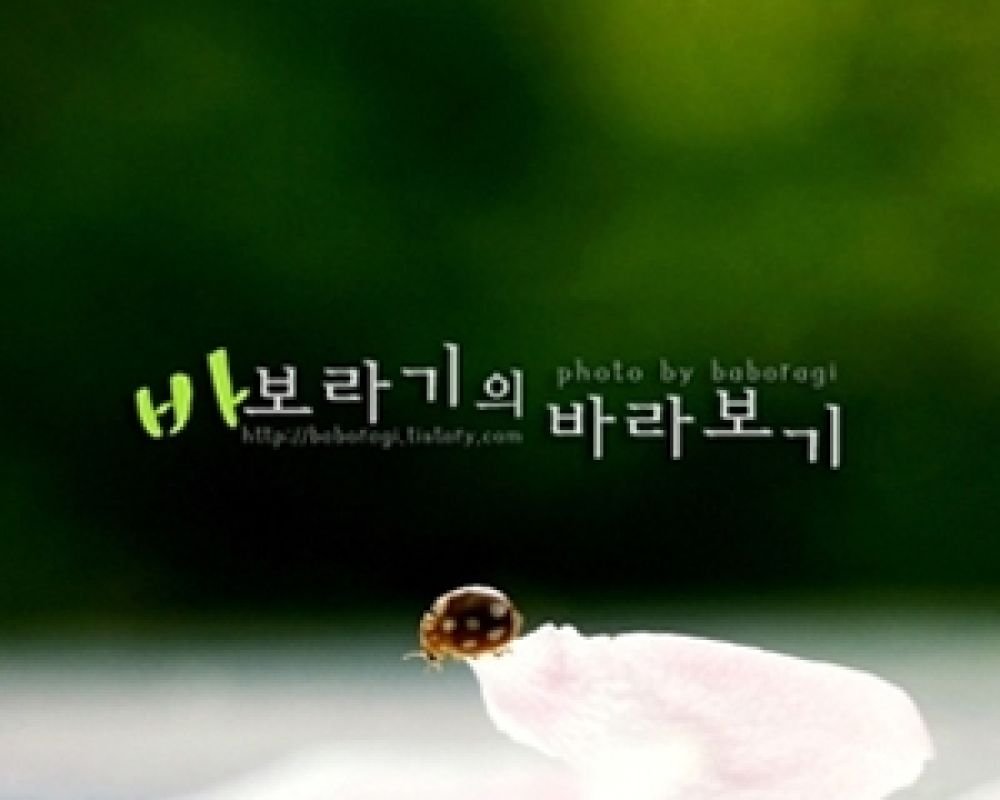 픽업 서비스